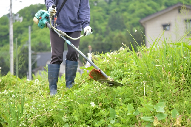 富士吉田市で草刈りに最適な年3回の時期～楽に草刈りを終えるコツまで徹底解説