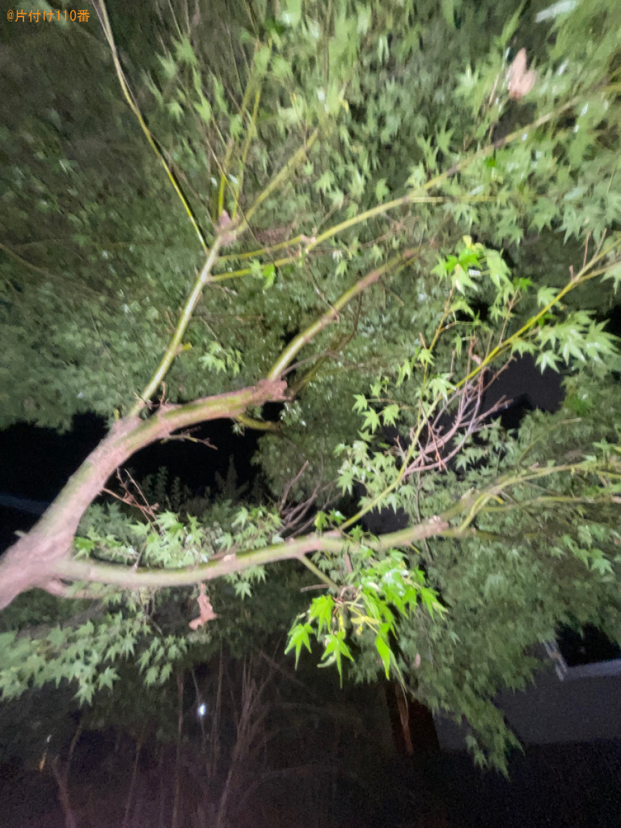 【笛吹市境川町】スズメバチ駆除ご依頼　お客様の声