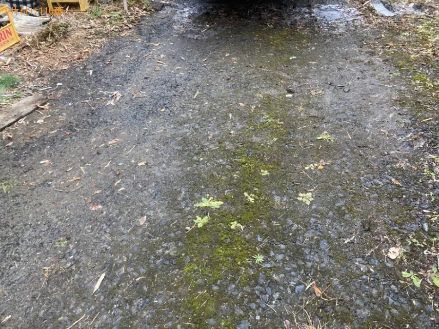 折り畳みベッド、カラーボックス、食器棚、衣装ケース、布団等の回収